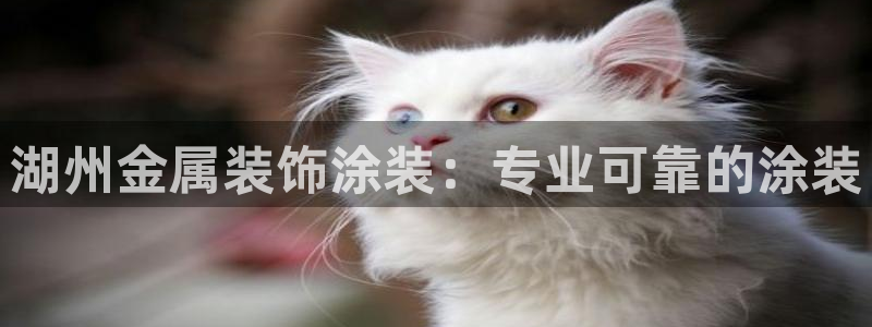 美高梅酒店有什么好玩的