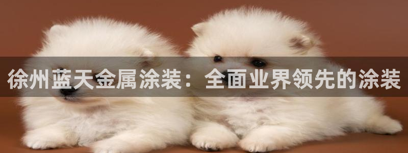 美高梅堵场是谁的