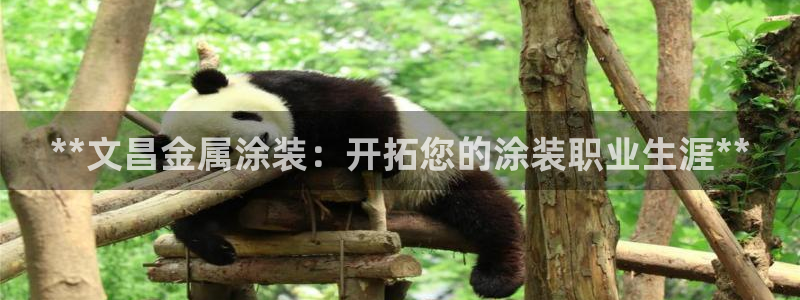 美高梅老板何超琼