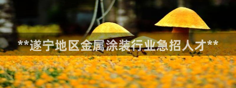 美高梅酒店外观图片