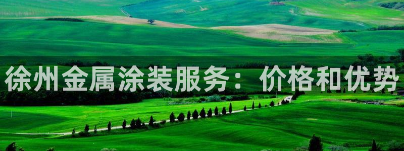 为什么我的美高梅网页上不了