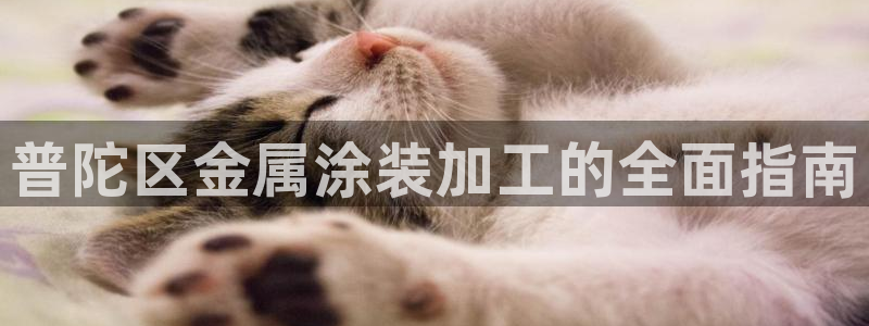 美狮美高梅酒店洗护用品什么牌子
