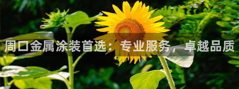 美高梅现场照片