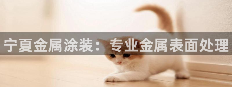 美狮美高梅酒店高度