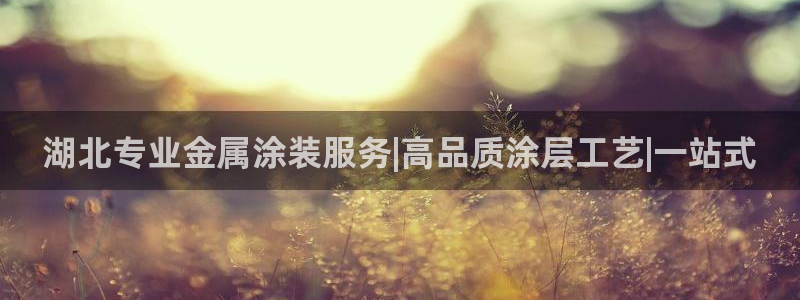 美高梅在哪