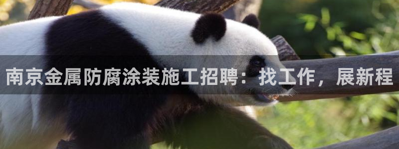 美高梅股票代码