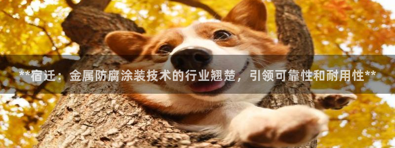 永利和美高梅一个老板吗