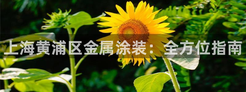 美高梅休闲中心