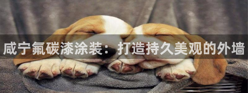 美高梅大酒店自助年卡