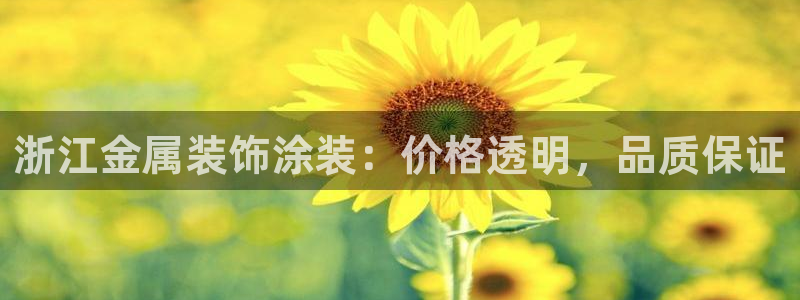 美高梅股票代码02282