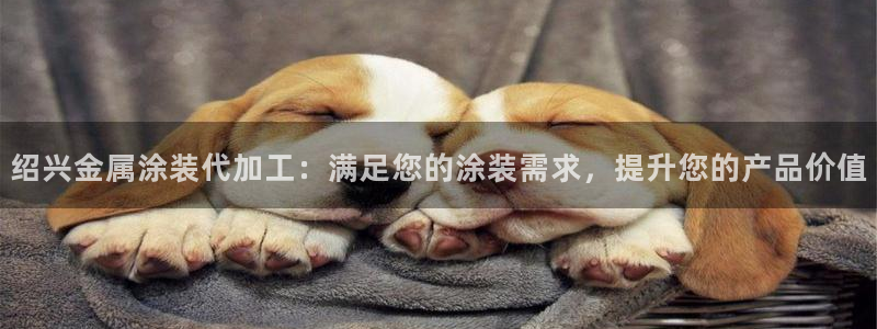 美狮美高梅酒店英语