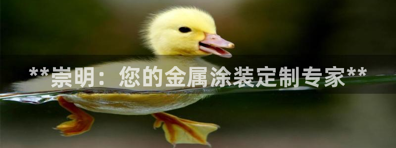 美高梅属于什么集团