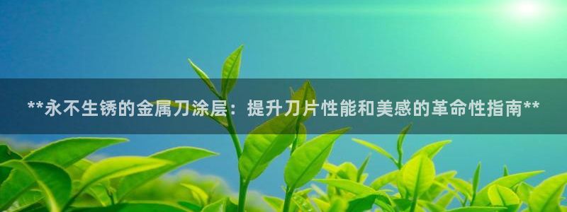 美狮美高梅酒店英语