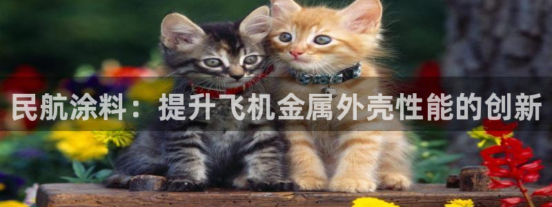 美高梅儿童乐园需要门票