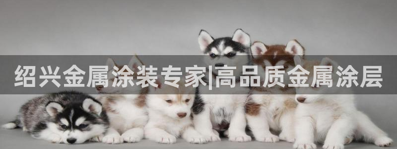 美高梅会员卡会降级吗
