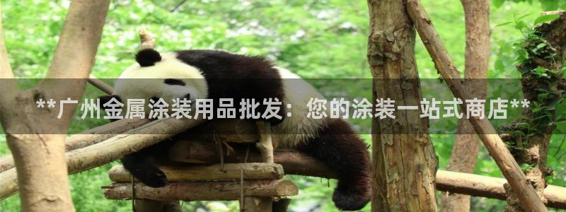 美高梅开业时间