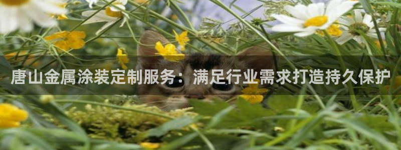 美高梅在澳门有几家分公司
