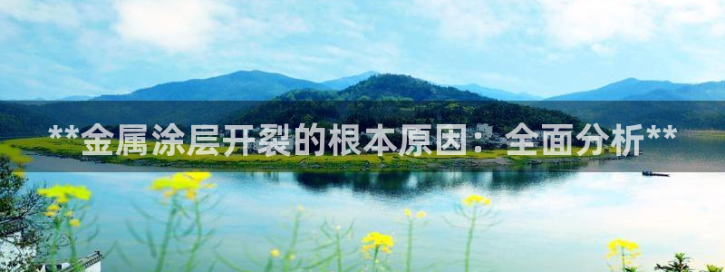 美高梅金卡匹配