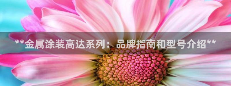 美高梅住一晚多少钱