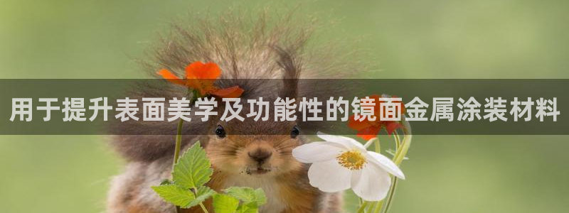 美高梅会员卡分类