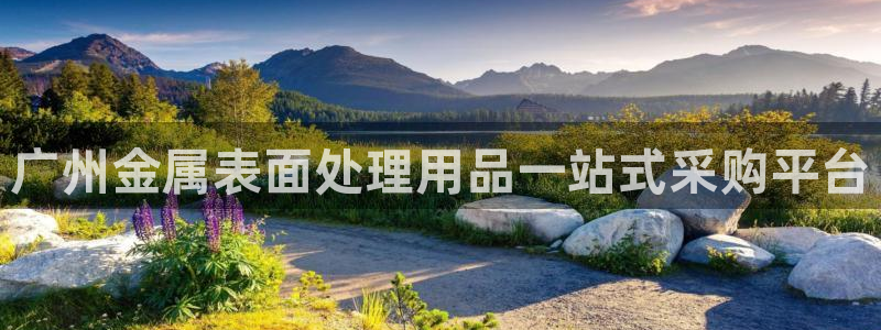 美狮美高梅酒店双尸案