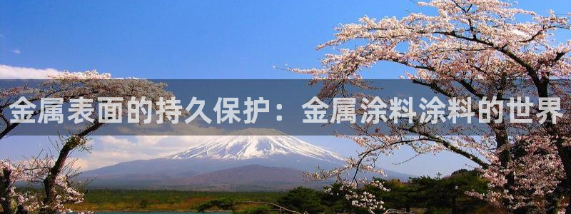 美高梅酒店免费的东西
