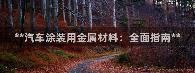 美高梅酒店管理有限公司