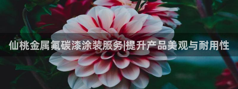 香港美高梅是做什么的