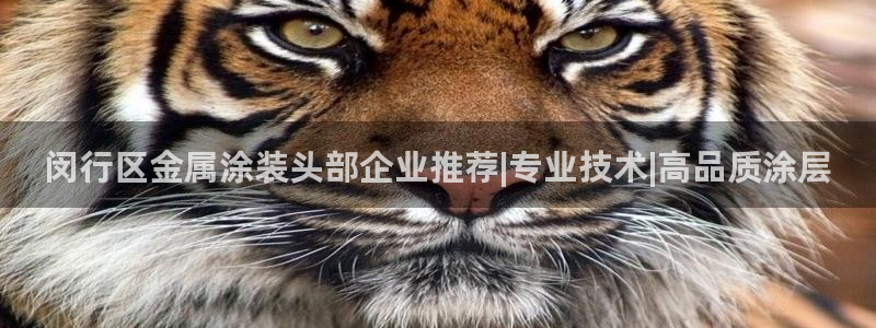 美高梅控股有限公司招聘