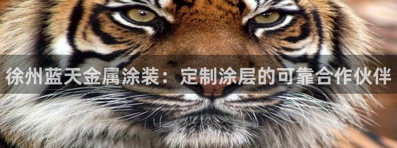 美高梅是何超琼创立的吗
