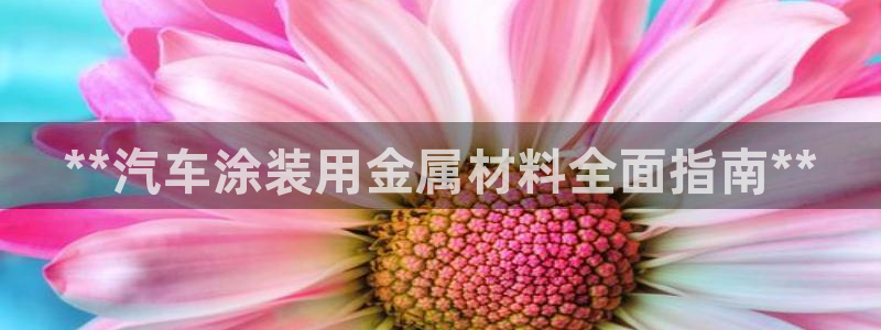 美高梅酒店管理有限公司