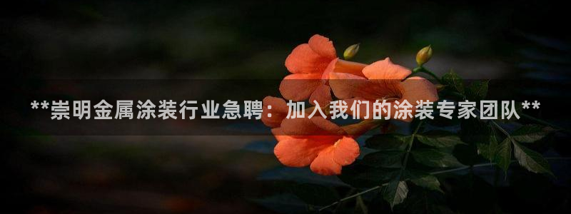 美高梅酒店洗漱用品