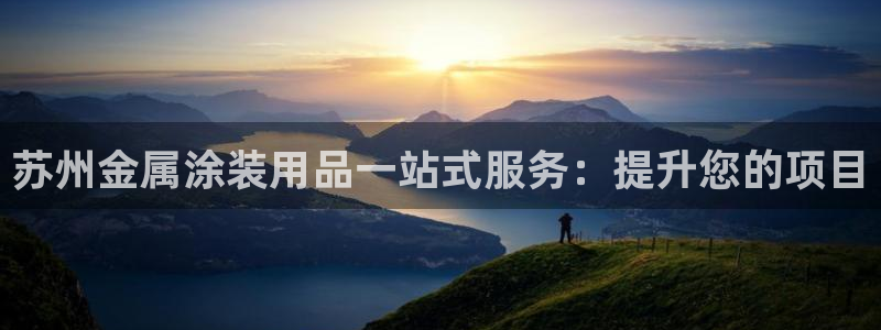 美高梅公司