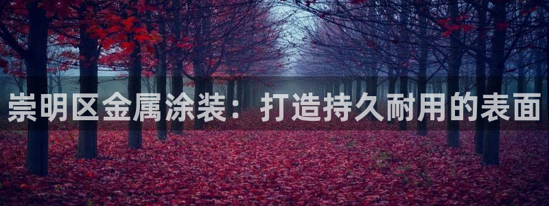 美高梅充值多少钱能提现到银行卡