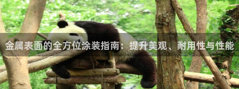 美高梅控股有限公司是国企吗