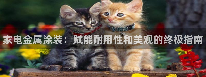 美高梅酒店门口的大狮子