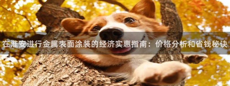美高梅酒店是哪个国家
