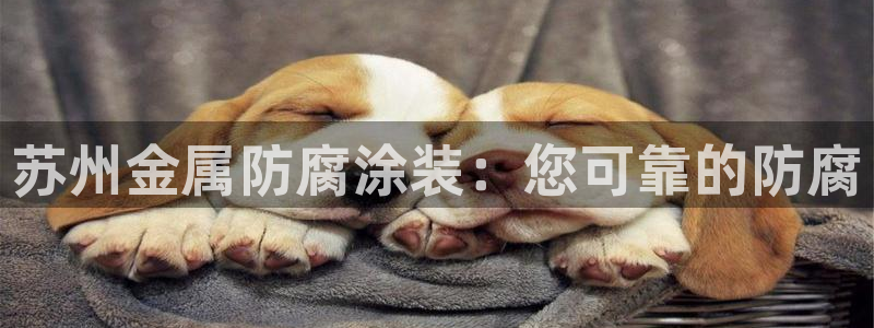 美高梅线上客服