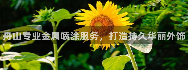 美高梅会员卡有啥用