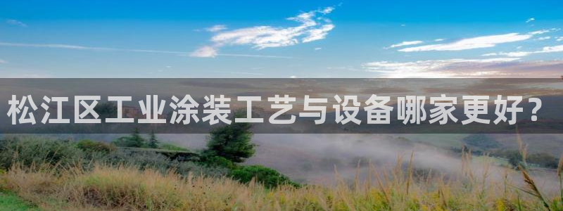 美高梅公司