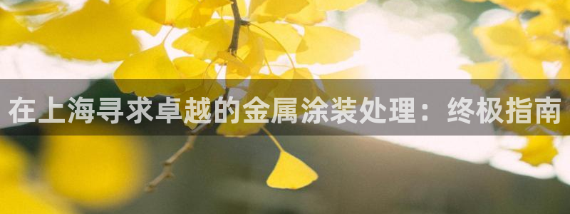 美高梅酒店是哪个国家