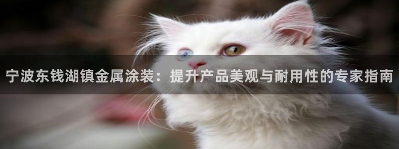 美高梅老板是