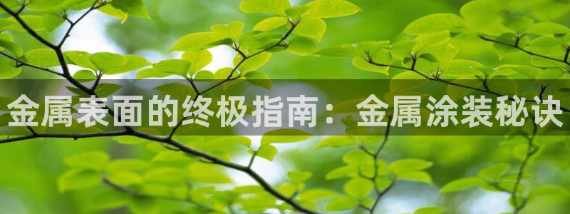 美高梅会员匹配凯悦