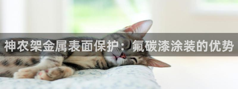 澳门有几家美高梅酒店