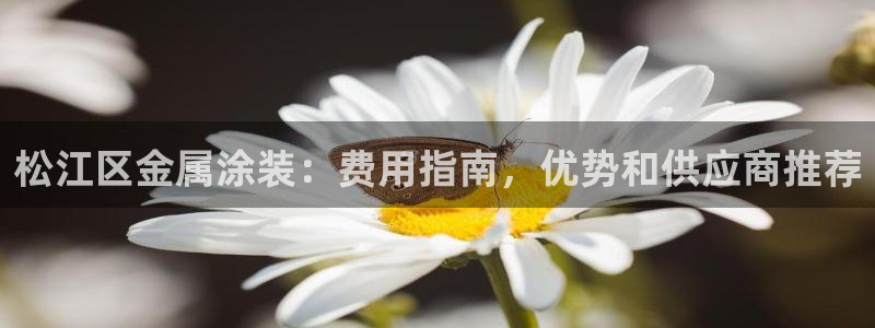 美高梅飞鱼表演时间