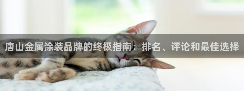 美狮美高梅酒店高度