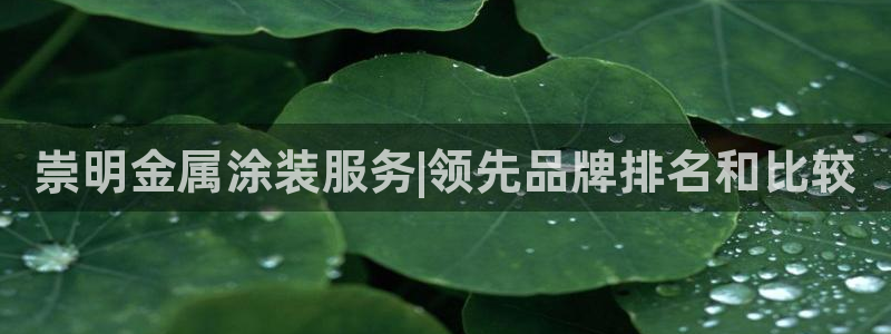 美高梅集团介绍