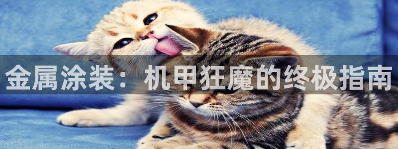 澳门的美高梅是谁的