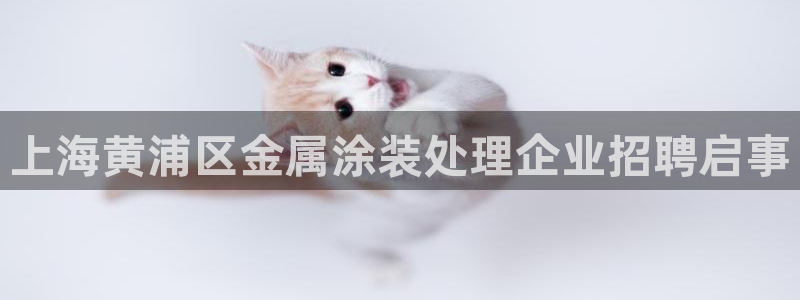 美高梅金狮卡值多少钱