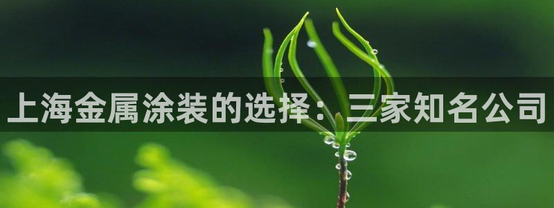 美高梅酒店投资多少亿